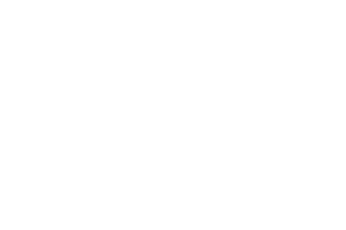 Znamke/Skoda-logo-W